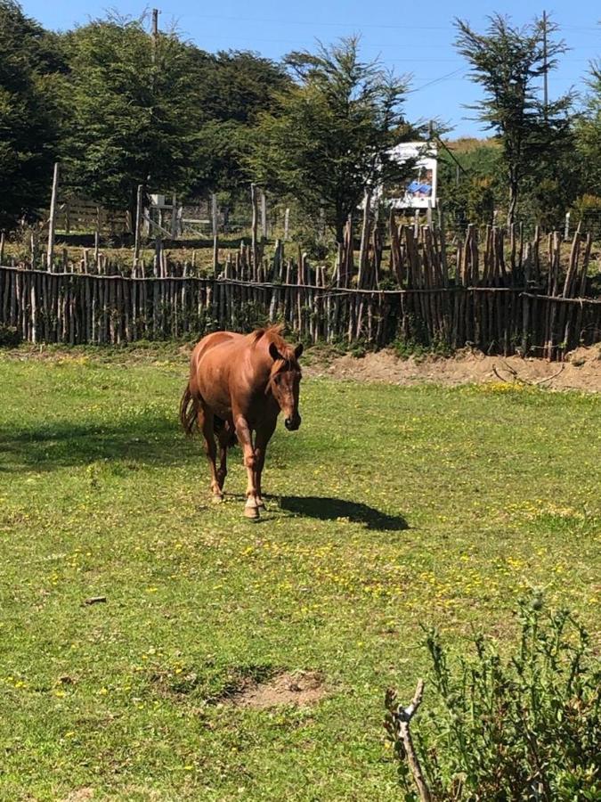 Cabanas Rio Quemille Huillinco Dış mekan fotoğraf